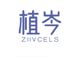 植岑 ZIIVCELS 第25类服装鞋帽商标转让 注册号67974310
