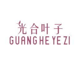 光合叶子