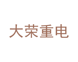 大荣重电 第09类科学仪器商标转让 注册号60818928