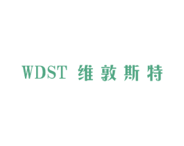 维敦斯特 WDST