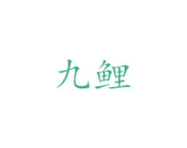九鲤 第18类皮革箱包商标转让 注册号23615844