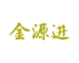 金源进