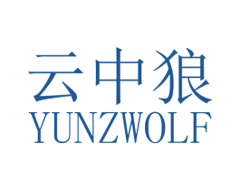 云中狼 YUNZWOLF 第10类医疗器械商标转让 注册号35982143