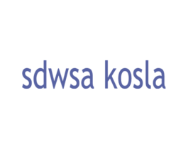 SDWSA KOSLA 第18类皮革箱包商标转让 注册号43364616