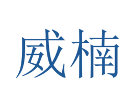威楠 第25类服装鞋帽商标转让 注册号30413447