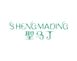 圣马丁