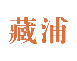 藏浦 第05类医药商标转让 注册号58311754