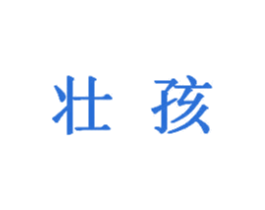 壮孩 第05类医药商标转让 注册号34073174