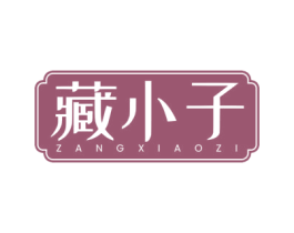 藏小子 第05类医药商标转让 注册号75249000