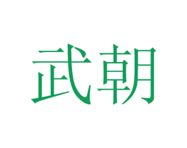 武朝