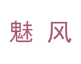 魅风