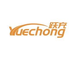 跃充 第09类科学仪器商标转让 注册号53218118