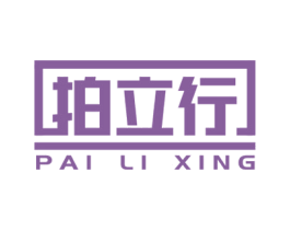 拍立行 第09类科学仪器商标转让 注册号58955307