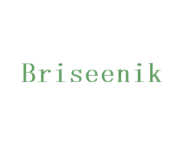 BRISEENIK