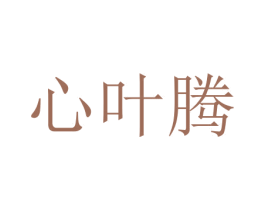 心叶腾