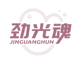 劲光魂 第09类科学仪器商标转让 注册号73263051