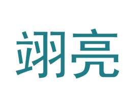 翊亮 第09类科学仪器商标转让 注册号42242754