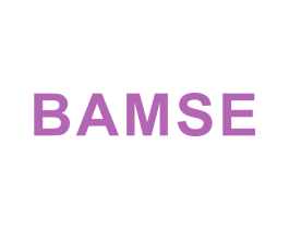 BAMSE 第05类医药商标转让 注册号29987947