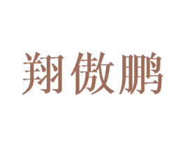 翔傲鹏 第09类科学仪器商标转让 注册号43664004