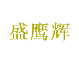 盛鹰辉