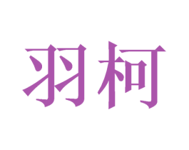羽柯 第21类厨房洁具商标转让 注册号47920841