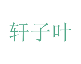 轩子叶 第09类科学仪器商标转让 注册号22714894