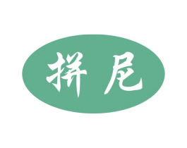 拼尼 第09类科学仪器商标转让 注册号46520815