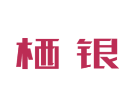 栖银 第25类服装鞋帽商标转让 注册号40990321