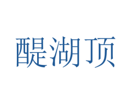 醍湖顶 第25类服装鞋帽商标转让 注册号74197541