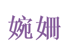 婉姍 第09类科学仪器商标转让 注册号41017251