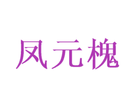 凤元槐 第25类服装鞋帽商标转让 注册号45989654