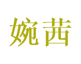 婉茜 第09类科学仪器商标转让 注册号42877713