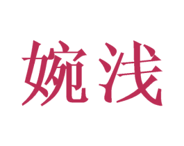 婉浅 第09类科学仪器商标转让 注册号42888438