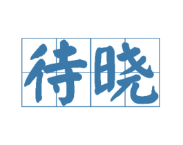 待晓 第25类服装鞋帽商标转让 注册号21906216