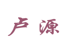 卢源 第18类皮革箱包商标转让 注册号16209877