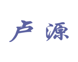 卢源 第25类服装鞋帽商标转让 注册号16213259