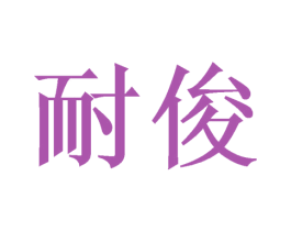 耐俊 第10类医疗器械商标转让 注册号42257313