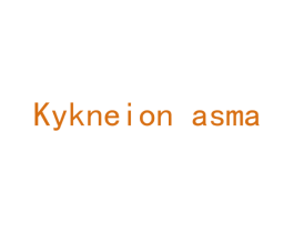 KYKNEION ASMA 第25类服装鞋帽商标转让 注册号43385359