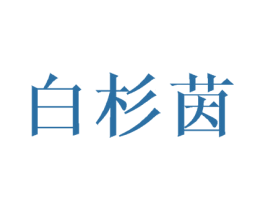 白杉茵