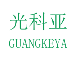 光科亚