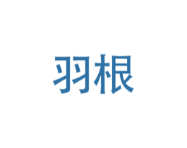 羽根 第25类服装鞋帽商标转让 注册号38398763
