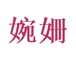 婉姗 第18类皮革箱包商标转让 注册号41028436