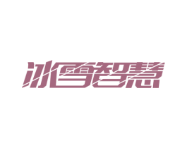 冰雪智慧