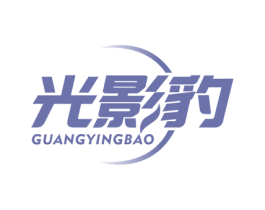 光影豹 第09类科学仪器商标转让 注册号64132565