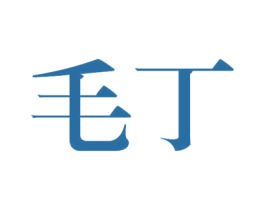 毛丁