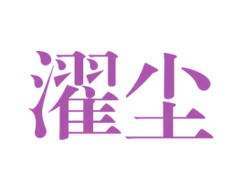 濯尘 第25类服装鞋帽商标转让 注册号38256253