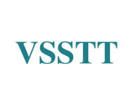 VSSTT 第25类服装鞋帽商标转让 注册号46995759
