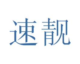 速靓 第09类科学仪器商标转让 注册号45107659