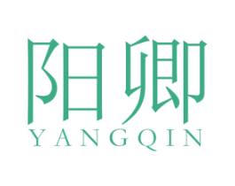 阳卿 第25类服装鞋帽商标转让 注册号48197837