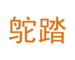 鸵踏 第25类服装鞋帽商标转让 注册号61269533